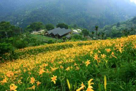 台湾休闲农业 台湾休闲农业成功的6条黄金定律，你知道吗？