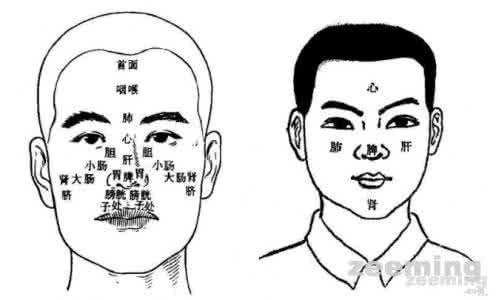 面部望诊图集 面部望诊大全