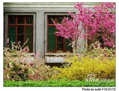 山东大学校园风景 山东大学校园 九景