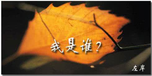 末世之我是谁的宝 我是谁的忧伤