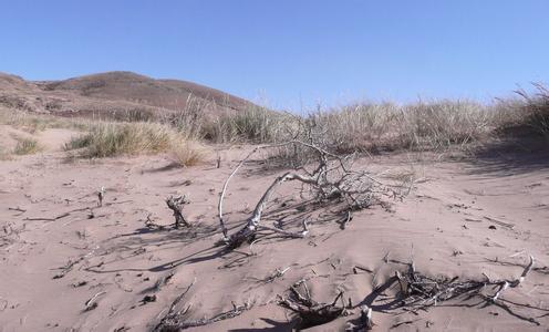 中国沙漠化现状 沙漠化