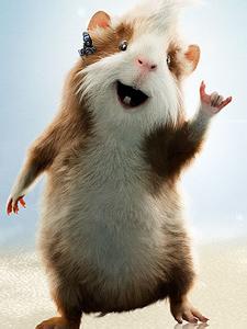 豚鼠特工队 豚鼠特工队 豚鼠特工队破解版