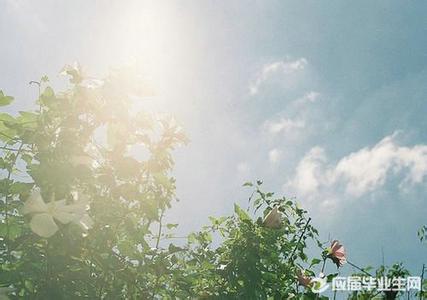 美丽华图文 【图文】一万个美丽的未来抵不上一个温暖的现在,每一个真实的现在都是你曾幻想的未来