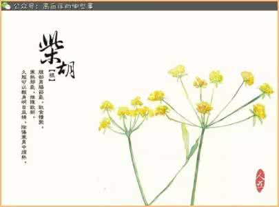 柴胡白芍汤 高血压理气类中药:柴胡及白芍