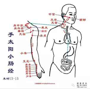 肾经堵塞了有什么症状 肾经功能起止穴位图片【堵塞点】