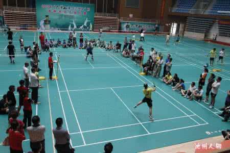 体育健身用品 体育健身 羽毛球用品选购指南