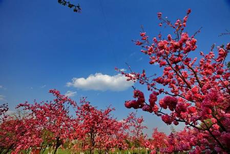 昆明百花园生态农庄 云南昆明百花园