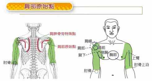 原始点疗法 原始点按推方法 原始点找法及按推之力量、时间与次数