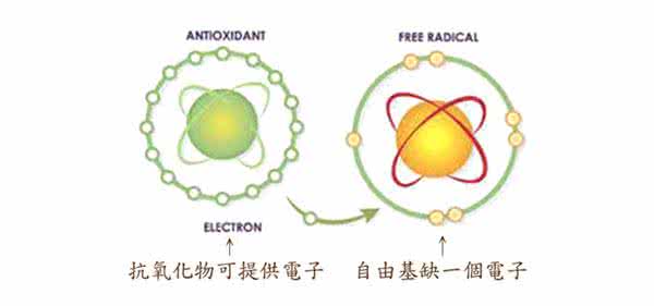 自由基与抗氧化 自由基与抗氧化 美容食物小清单 抗氧化远离自由基