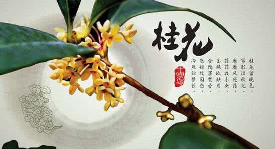 桂花古诗词 中国古诗词  桂花篇