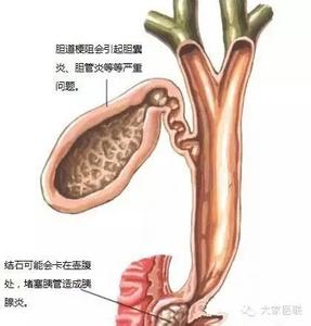 养血祛风汤 “养血祛风汤”治老年性皮肤瘙痒症