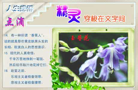 人生感悟点滴 【原创】人生感悟点滴（168）