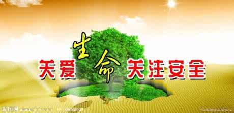 开卷有益的故事 一个让您生命得到平安的有益故事