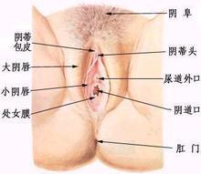 慢性陰道炎是什么症状 慢性阴道炎的症状