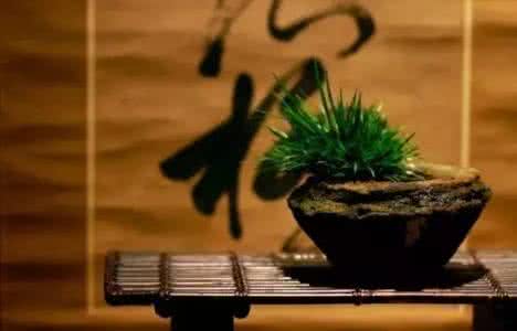 金钱菖蒲的养植方法 菖蒲植法原来有口诀,今天才知道!