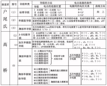 心电图是检查什么的 心电图检查 宠物心电图检查