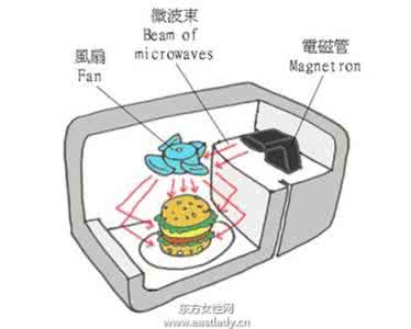 空气炸锅的工作原理 空气炸锅的危害 空气炸锅的工作原理
