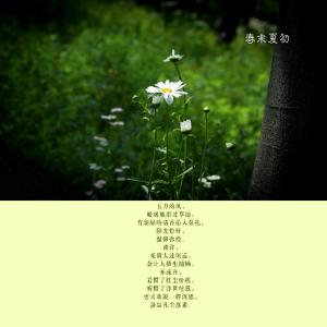 失恋33天电影土豆网 春末夏初宜失恋｜土豆说