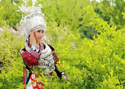 九州广场舞花开的时候 五六花开馨香苑 中华民族傲九州(56民族风情诗2)