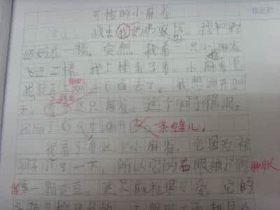 小学生作文视频 小学生快速作文【视频】*