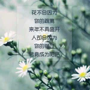 岁月老了,心要年轻 心若年轻，岁月不曾老去