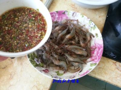 醉虾的制作方法 美味醉虾制作