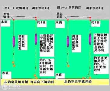 传统钓鱼方法双钩调标 几种调钩的基本方法