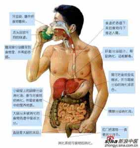 肠胃炎的症状吃什么药 肠胃炎吃什么 肠胃不好有哪些症状