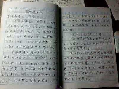 四年级上册第二单元 语文A版四年级上册四单元作文 有趣的绕口令比赛作文