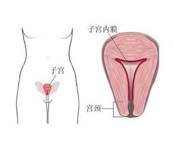 胚胎着床有什么症状 胚胎着床有什么症状 胚胎反复不着床？你需要注意这三点！