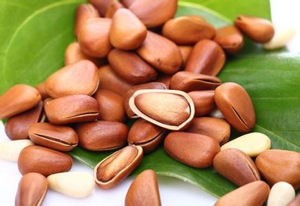 生吃松子的功效与作用 其他 松子的功效与作用 常吃松子能防心血管疾病