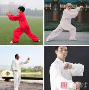 武当太极拳38式陈师行 陈师行三十八式武当太极拳分解动作教学全集视频