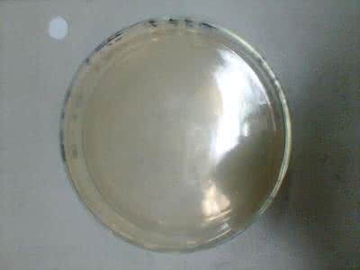 培养基的分类 培养基