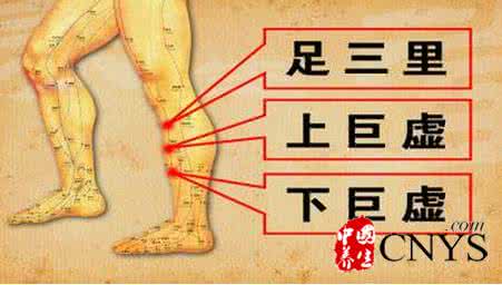 肠胃调理按摩手法视频 视频讲座：夏季如何按摩穴位调理肠胃？/调节肠胃 足三里（李智）