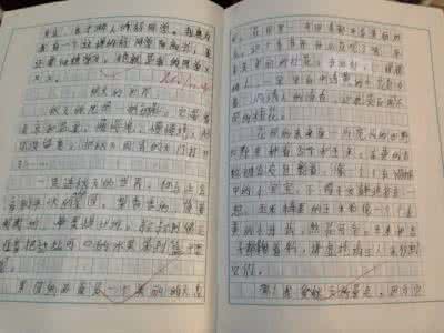 内涵比外表更重要作文 外表真的那么重要吗作文200字