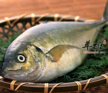 黄花鱼的营养价值 黄鱼的营养价值 帮助改善头晕失眠