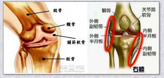 左腰股骨头关节疼痛 膝关节疼痛的治疗 膝关节、腿关节、腰关节...关节疼痛，常吃这个就对了！