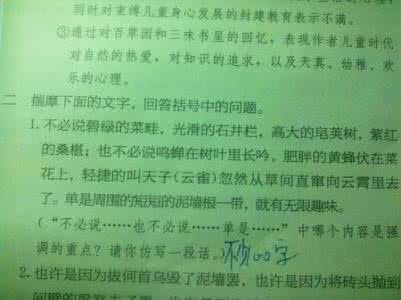 夏天的公园作文200字 夏天的公园作文100字
