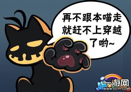 这是一群有故事的汪……