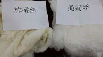 柞蚕丝和桑蚕丝哪个好 柞蚕丝和桑蚕丝哪个好 柞蚕丝被品牌哪个好