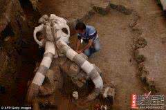 墨西哥发现新巨型蜘蛛 墨西哥发现1.4万年前长毛象尸骨