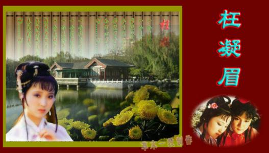 红楼梦精彩片段 精彩音画红楼梦