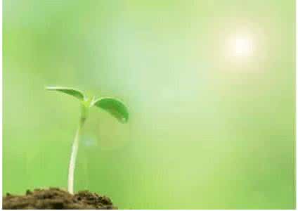 我理想的婚姻生活 女人婚姻生活的五个梯形层次