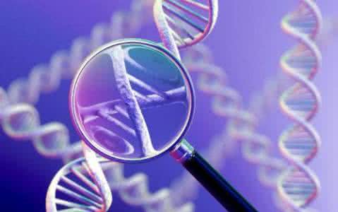 癌症的治疗方法 癌症的探討與治療方法