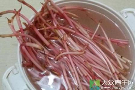 新鲜鱼腥草煮水煮多久 新鲜鱼腥草怎么煮水
