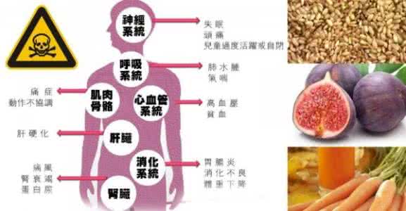 常见的食物中毒致病菌 6种常见食物帮你“吃掉”6种病