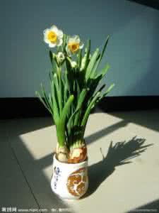 拉赫玛尼诺夫音画难度 【水仙音画】不懂自已