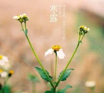 寒露节气 寒露节气 寒露节气吃什么对身体最好