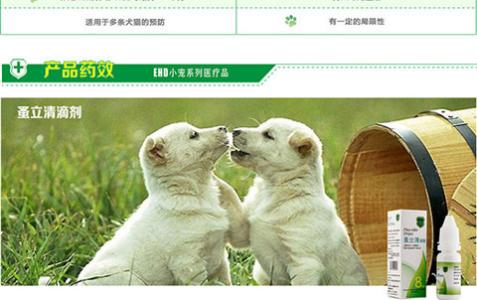 虱子和跳蚤的区别 我家狗狗的杀跳蚤、虱子中药绿色配方