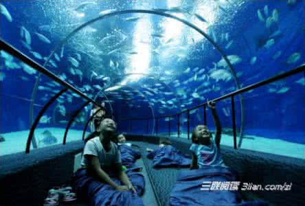 秦皇岛旅游攻略自助游 秦皇岛海洋水族馆旅游攻略